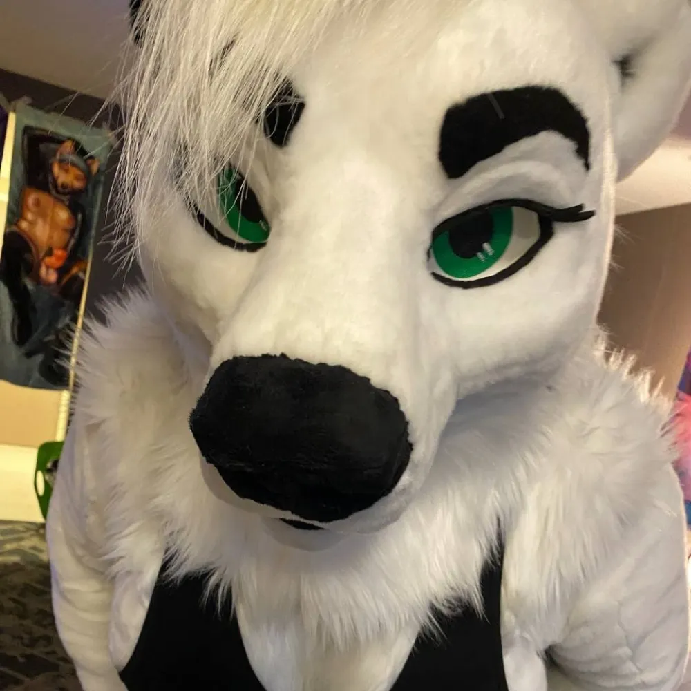 flightburr.bsky.social's profile picture