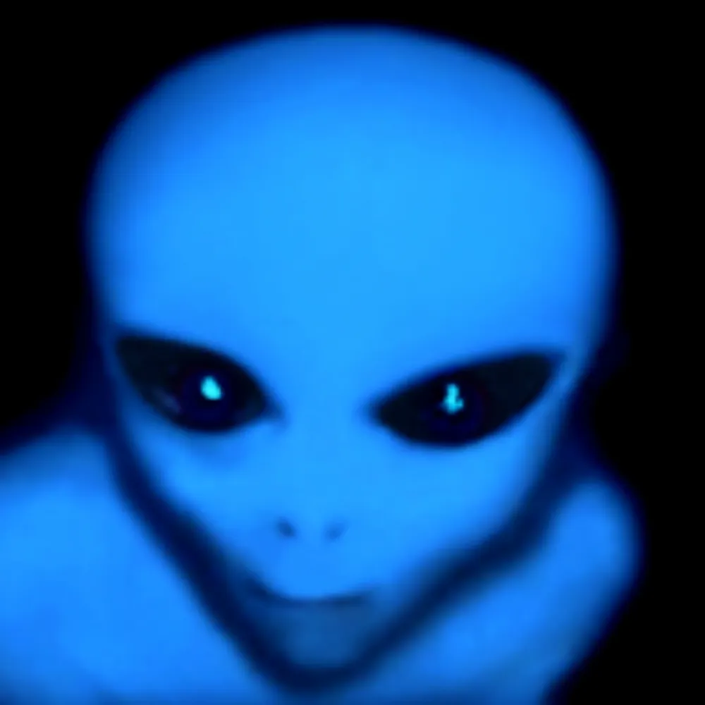 thebluearecoming.bsky.social's profile picture