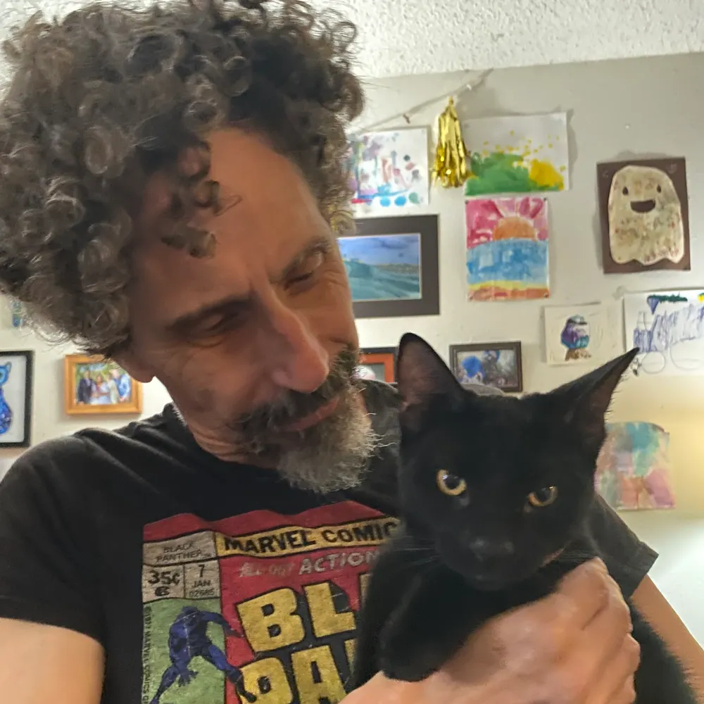 rodhillen.com's profile picture