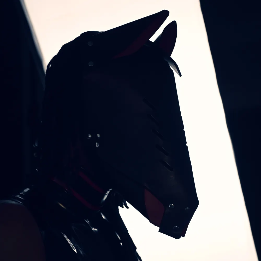 ponedrone.bsky.social's profile picture