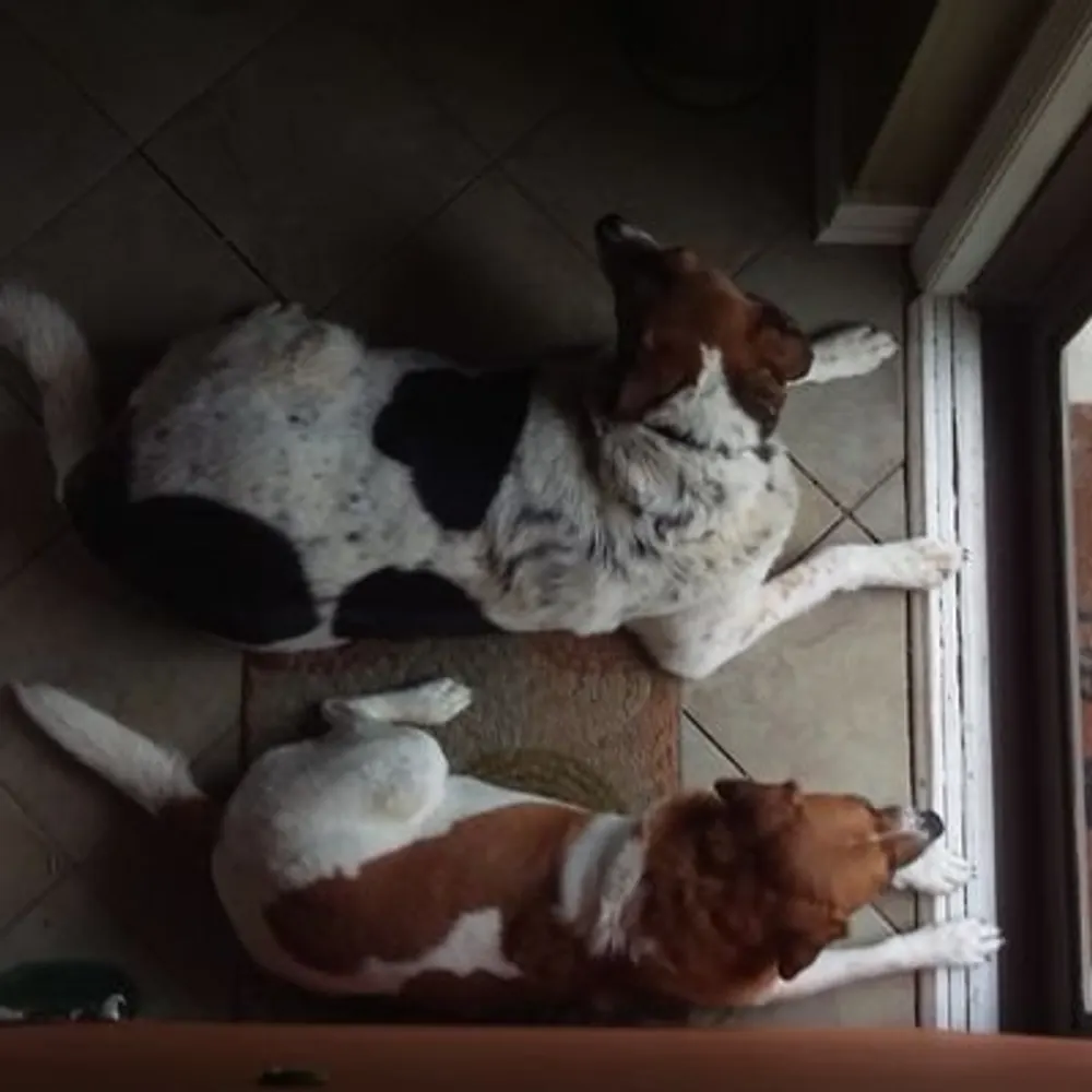 scottwellskc.bsky.social's profile picture