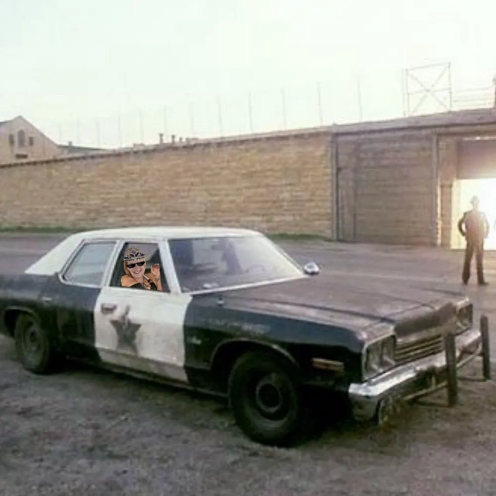 bluesmobile.bsky.social's profile picture