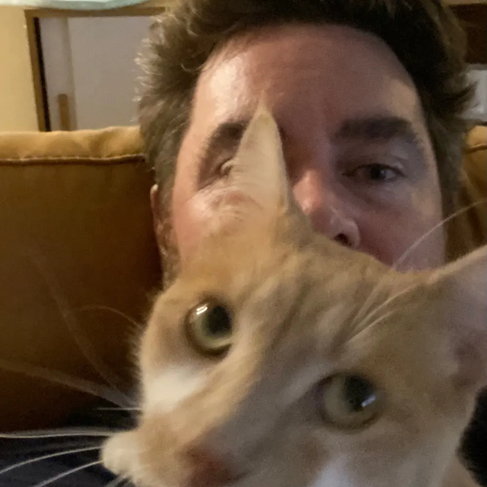 ben.gracewood.nz's profile picture