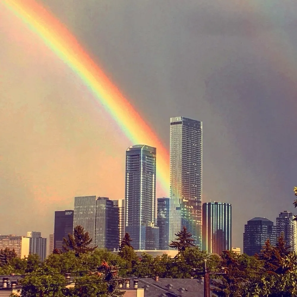 theneighbourin12.bsky.social's profile picture