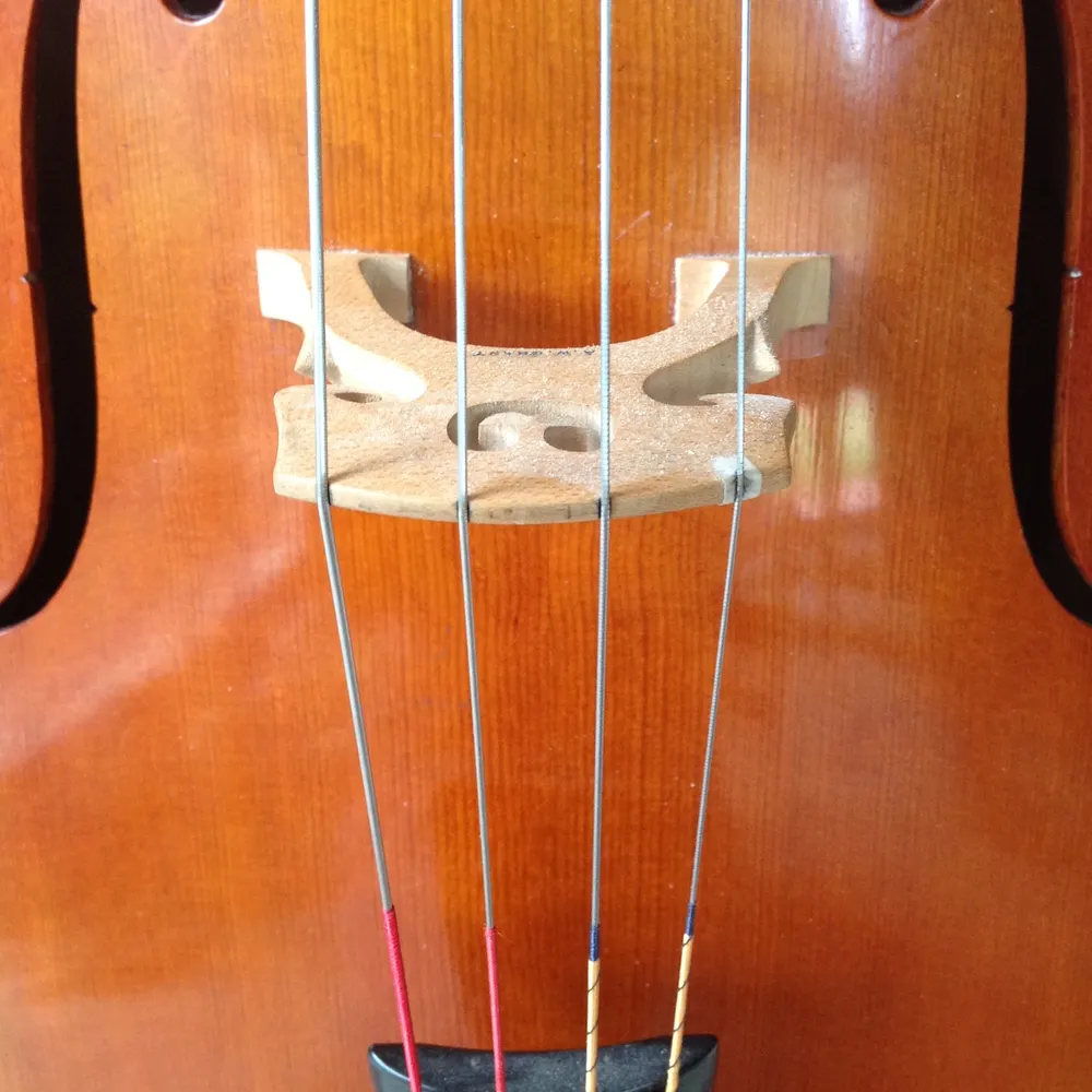 mstefanakis.bsky.social's profile picture