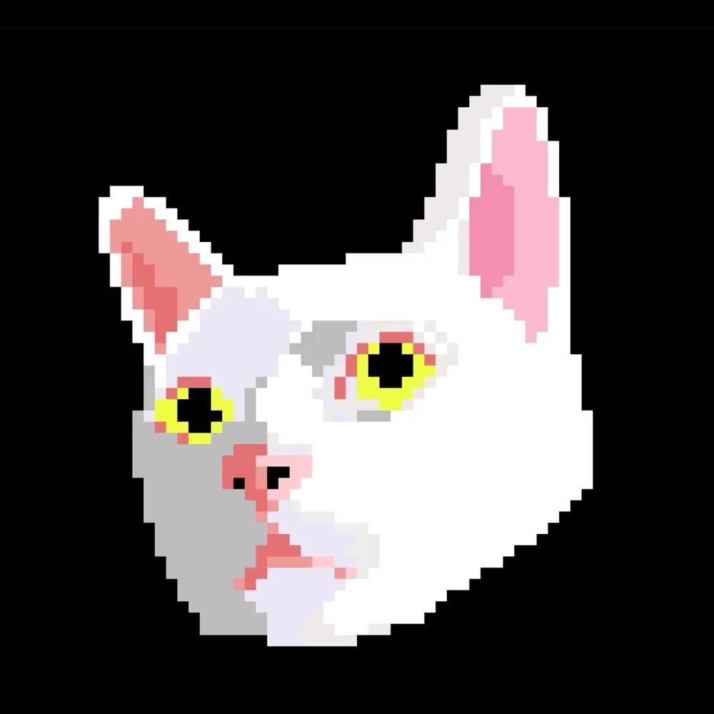 auggiethebeck.bsky.social's profile picture