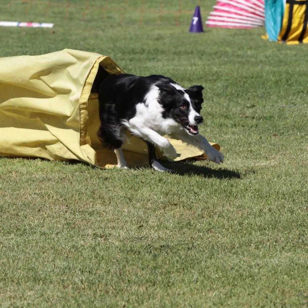 percyjones.bsky.social's profile picture