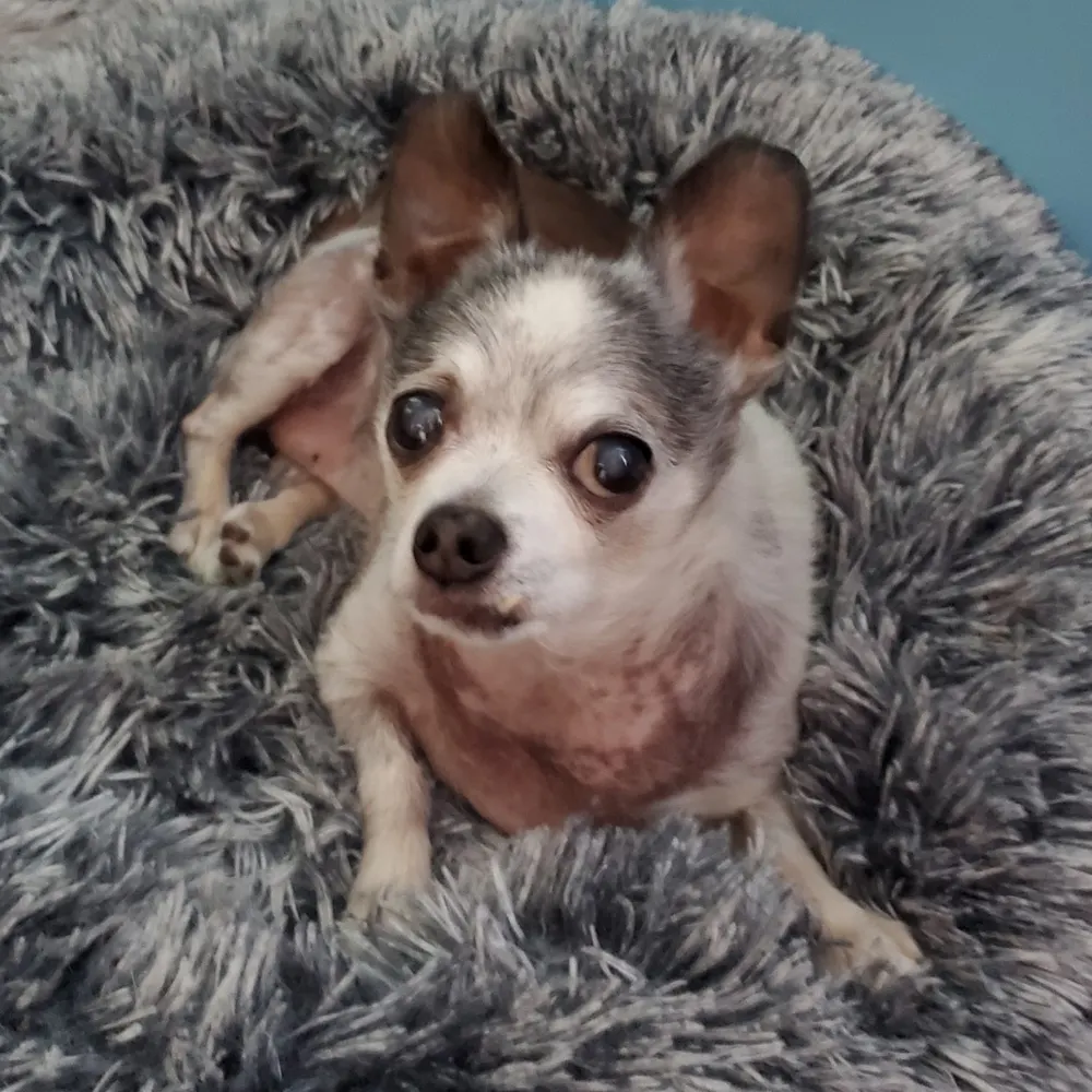 suetikiandreo.bsky.social's profile picture