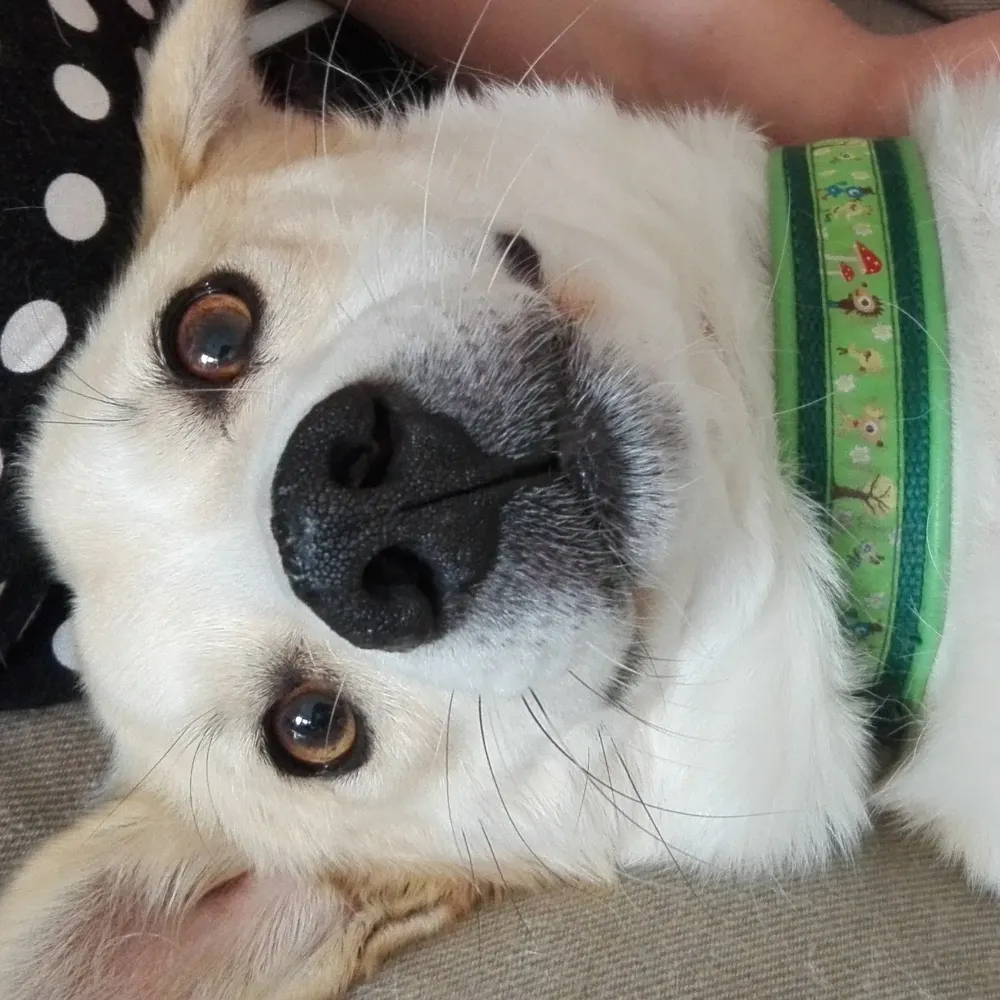 fabulousfilou.bsky.social's profile picture