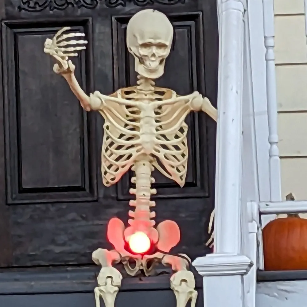 tomatoburger.bsky.social's profile picture