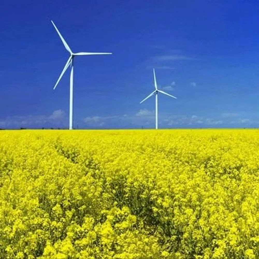 oliverkarst.bsky.social's profile picture