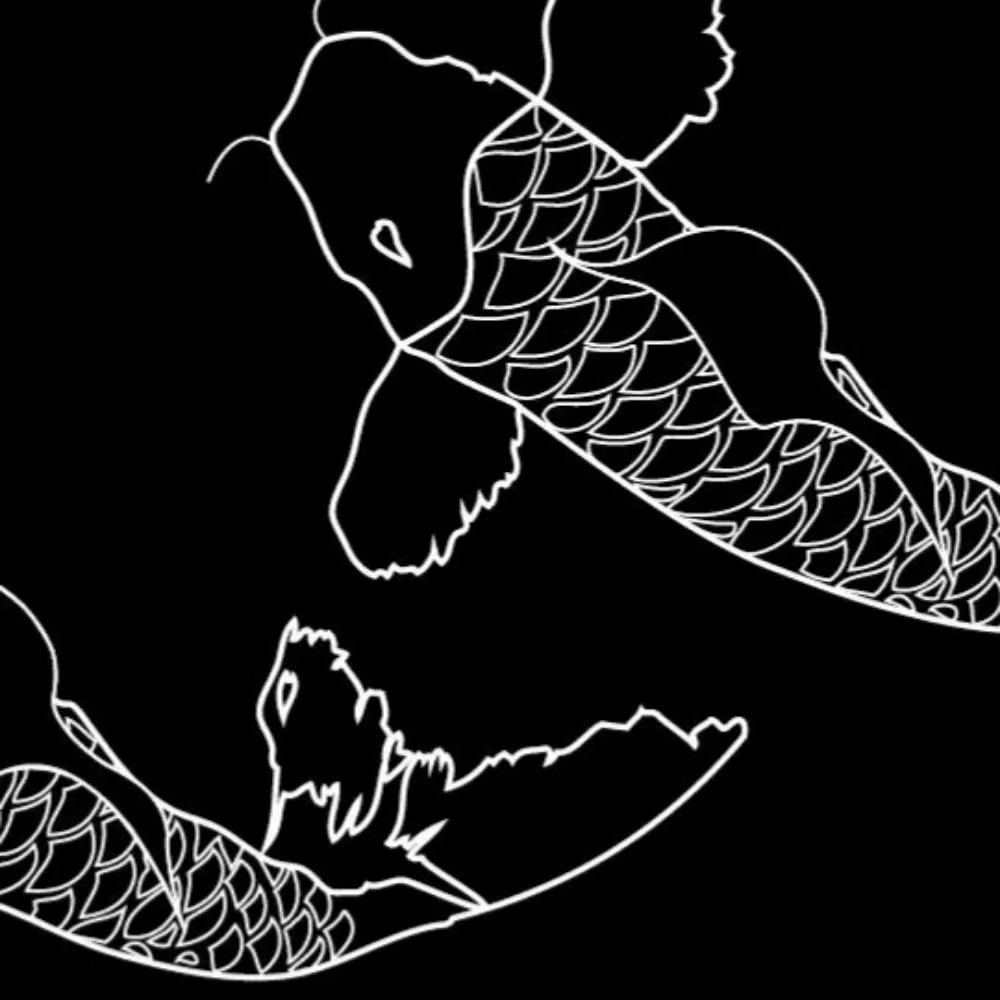 jmeber2.bsky.social's profile picture