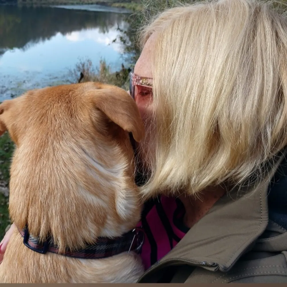 carlyja22.bsky.social's profile picture