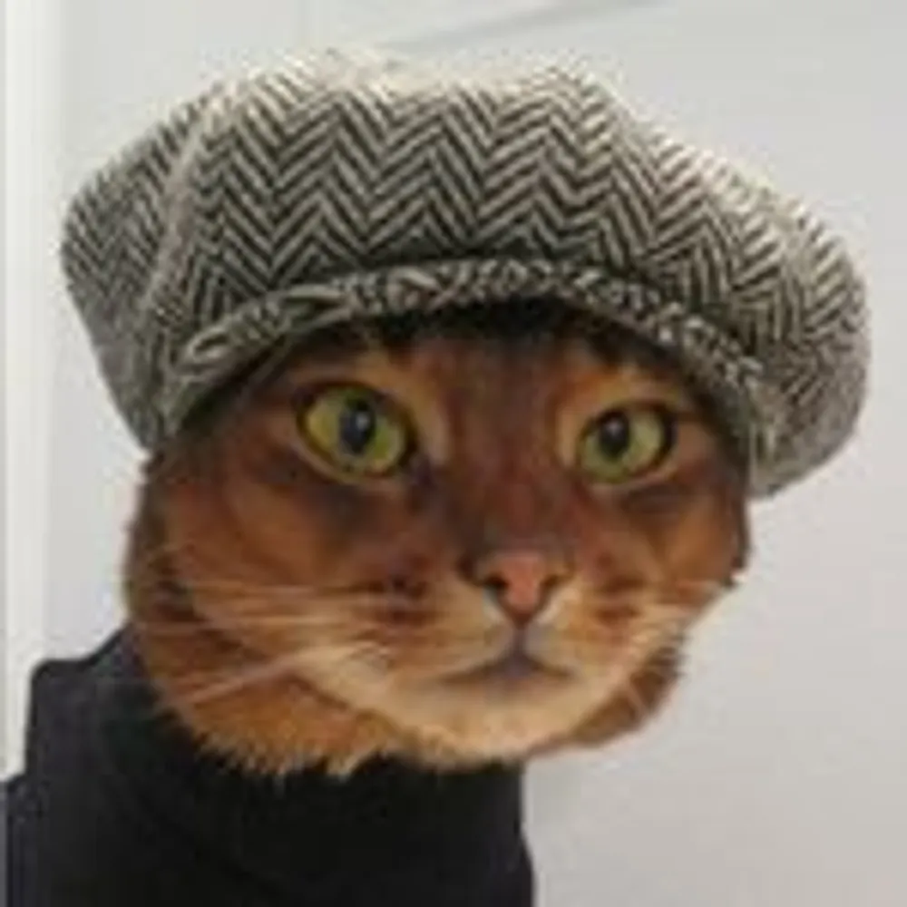 gp2k.tikimail.org's profile picture