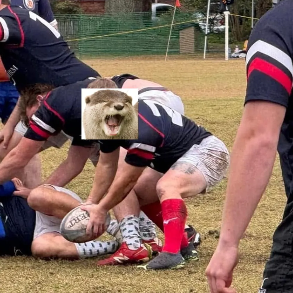 cyberotters.bsky.social's profile picture