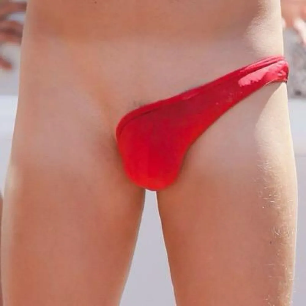 nutsling.bsky.social's profile picture