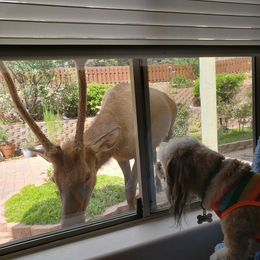 castanton.bsky.social's profile picture