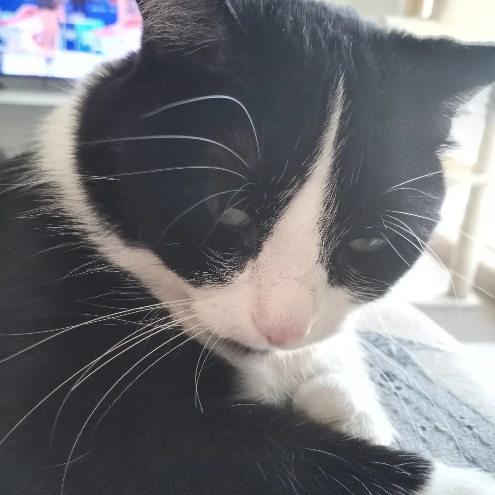 heathencanadian2.bsky.social's profile picture