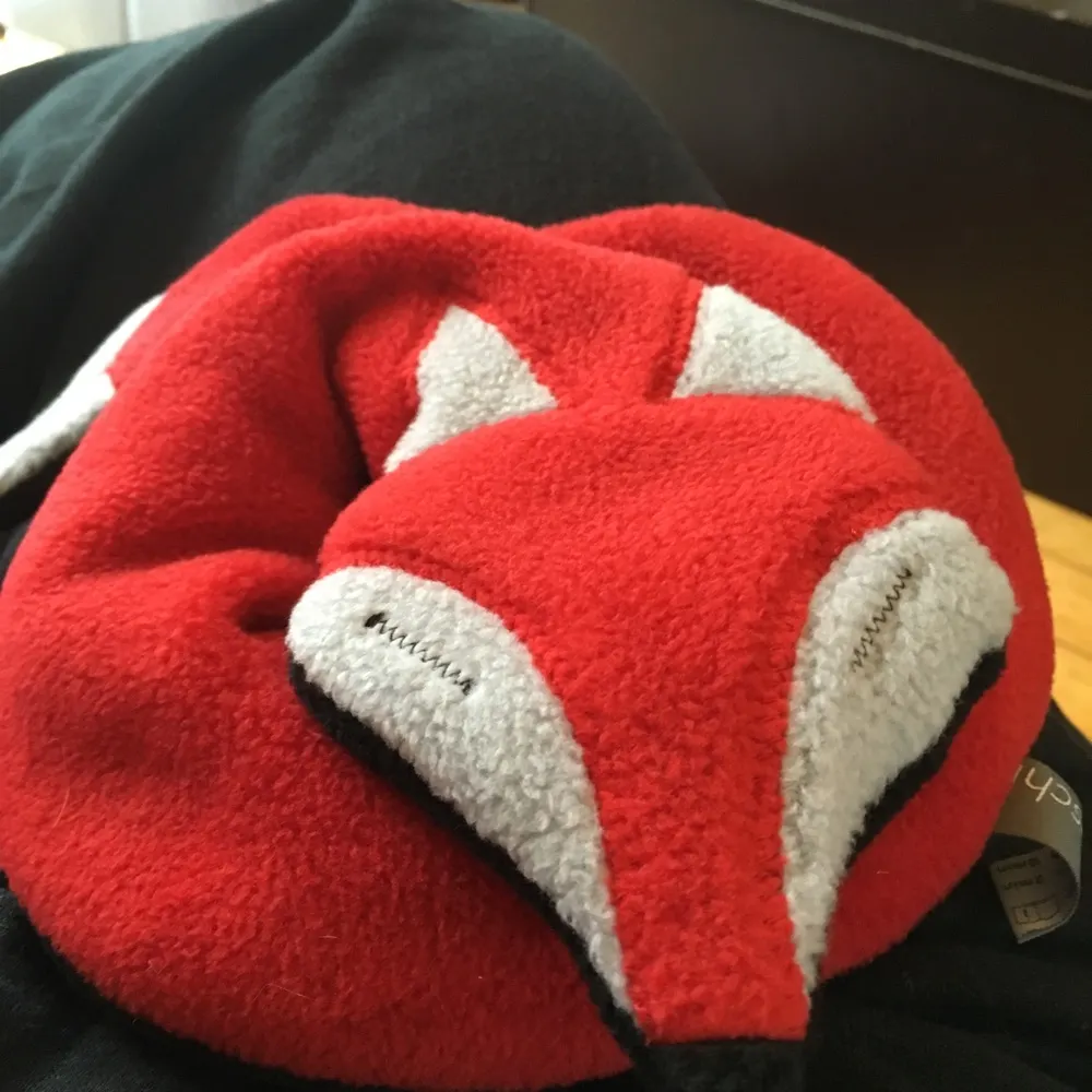 tamlewis.bsky.social's profile picture