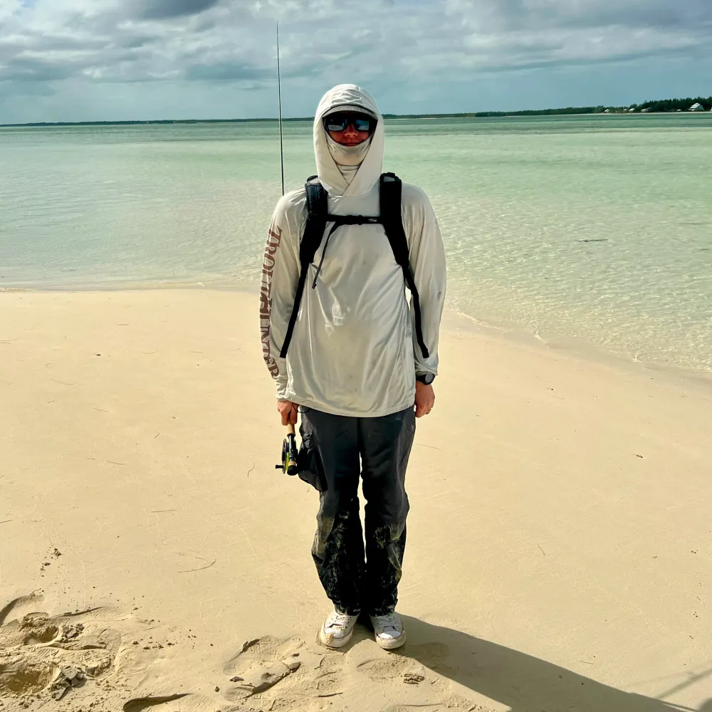 free-stone.xyz's profile picture