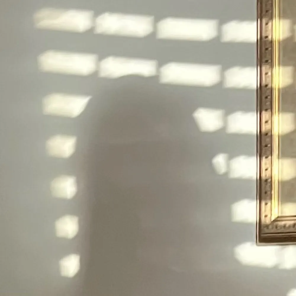 ld8801.bsky.social's profile picture