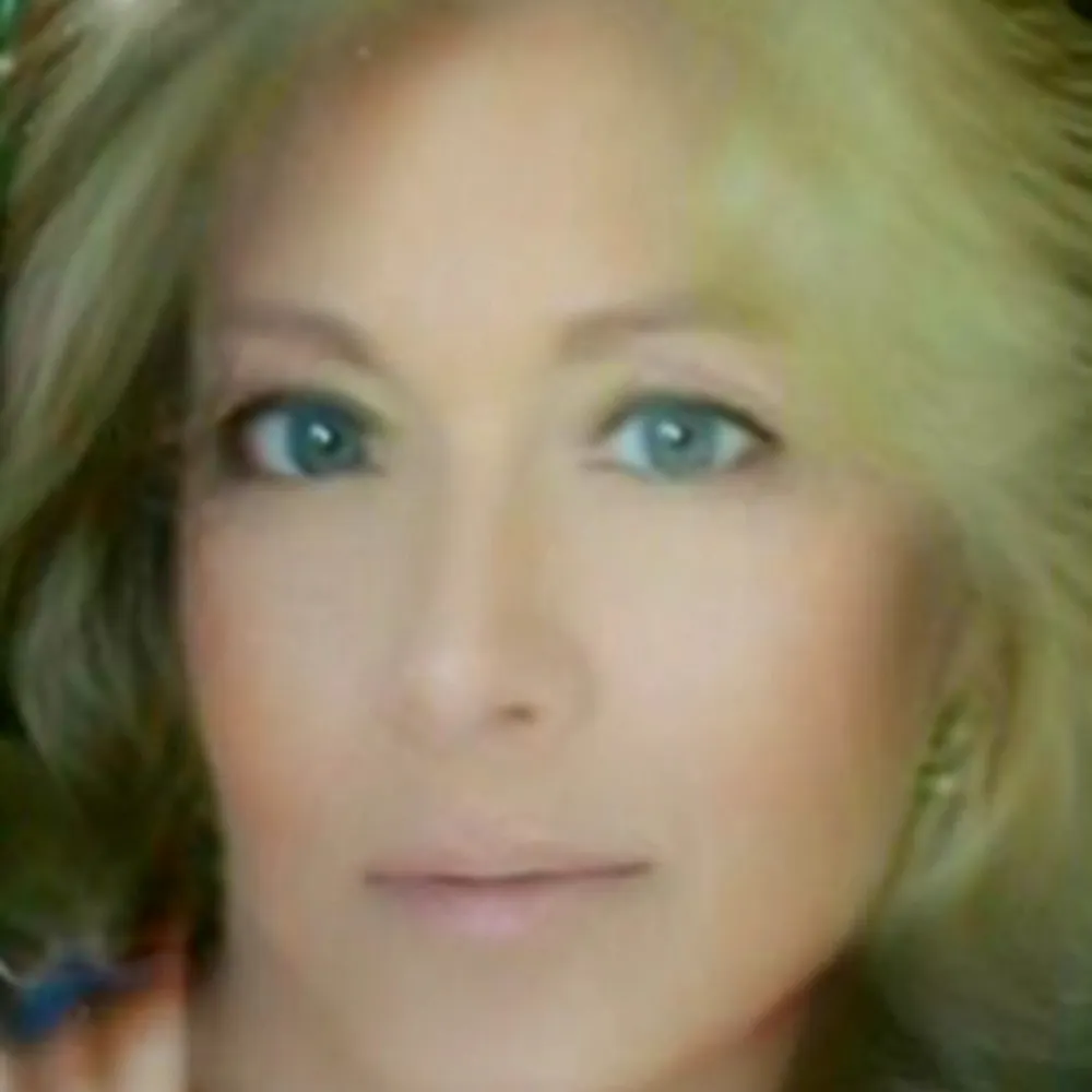 softtail65.bsky.social's profile picture