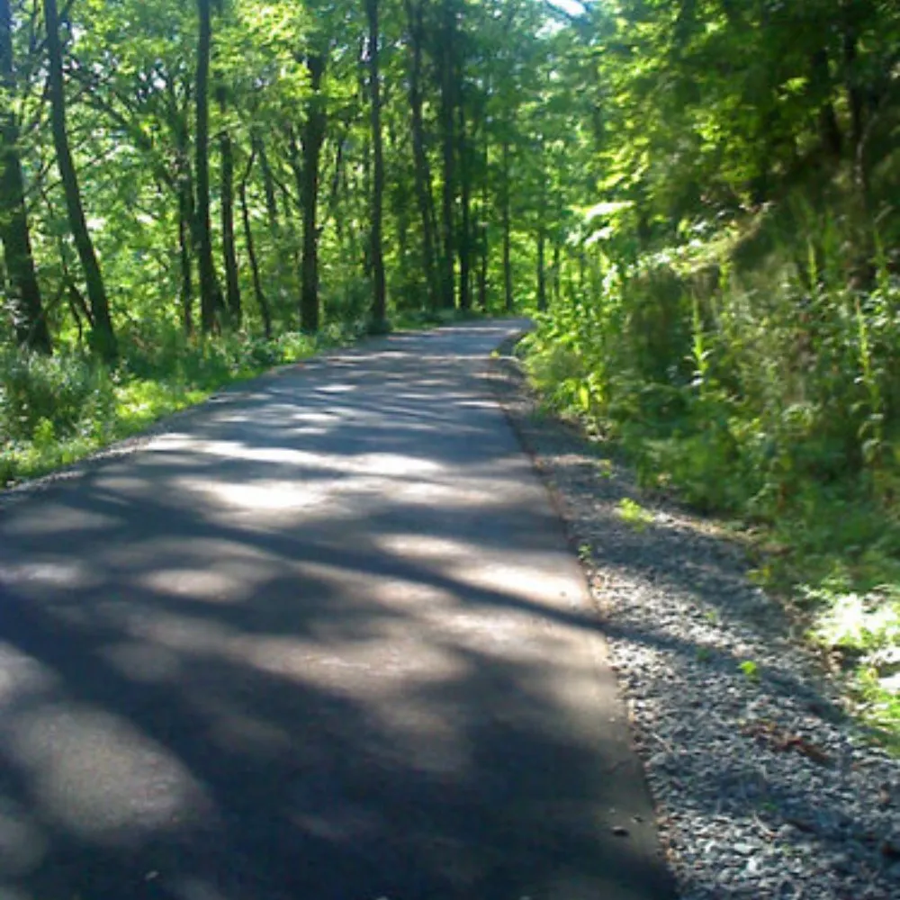 thebirdman.bsky.social's profile picture