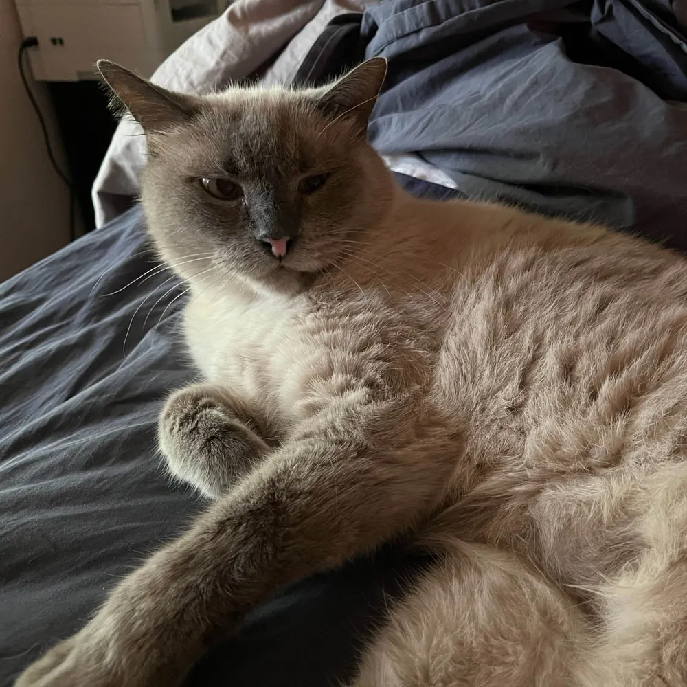 larrymilly.bsky.social's profile picture