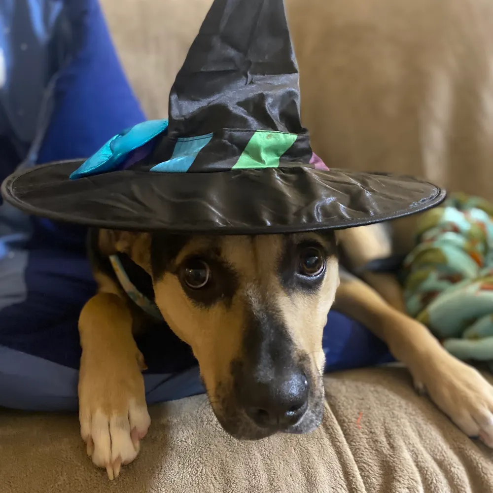 elkaneo.bsky.social's profile picture