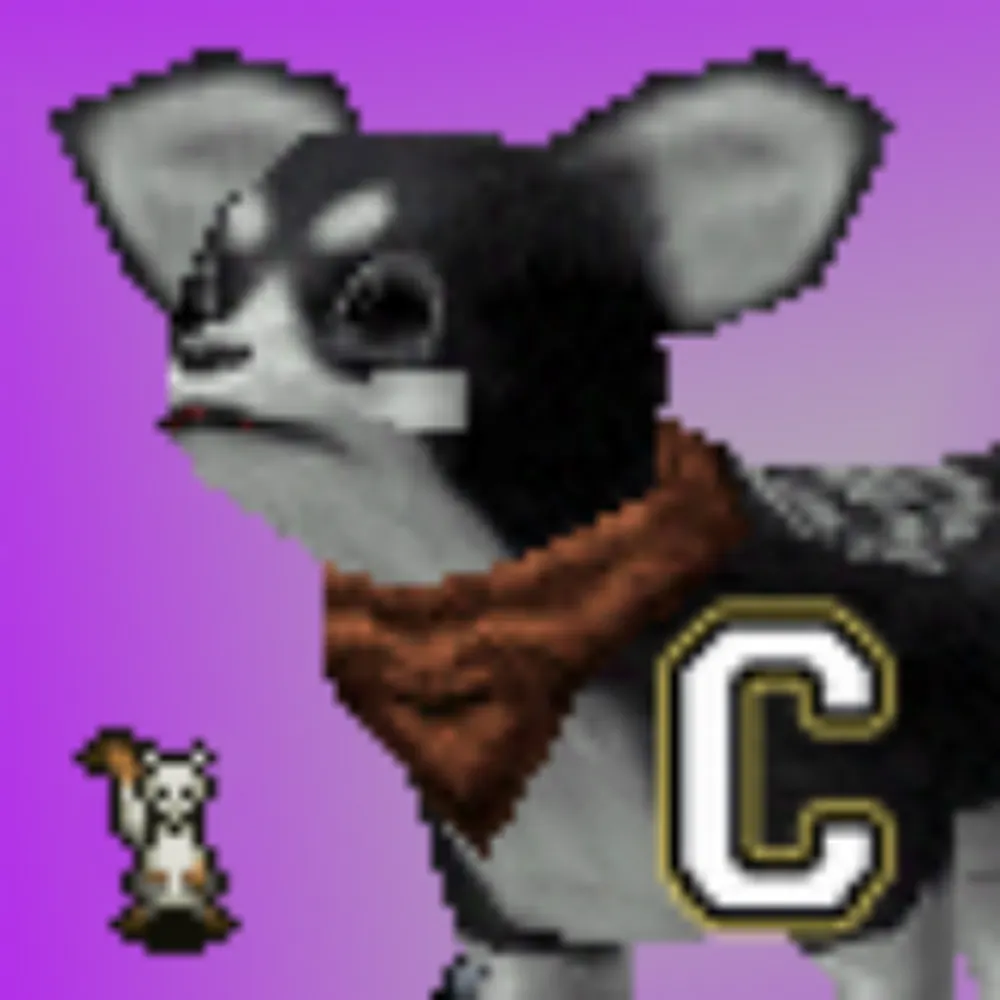 ujnhunter.bsky.social's profile picture