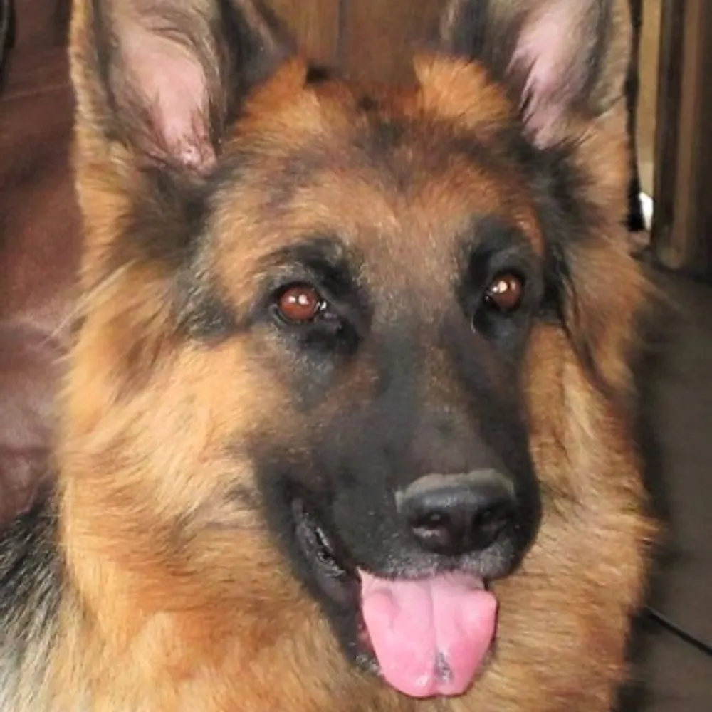 mary235.bsky.social's profile picture