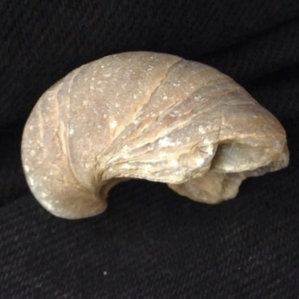 sthen0.bsky.social's profile picture