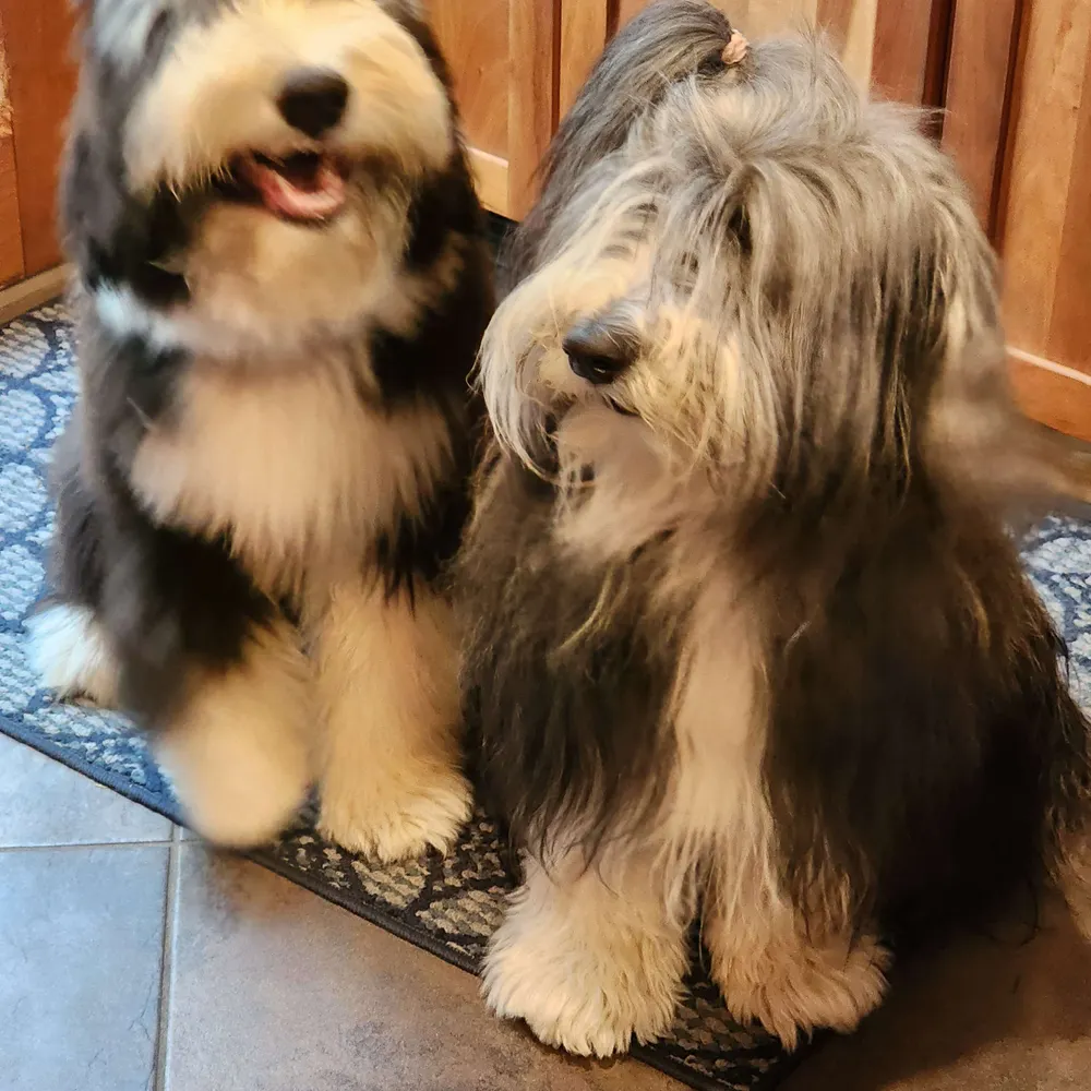 kvetcherforever.bsky.social's profile picture