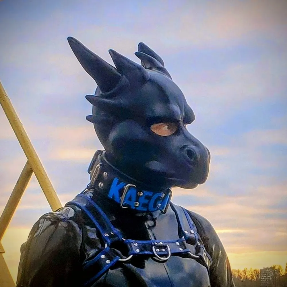 kaegandragon.bsky.social's profile picture