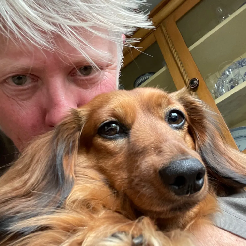 melmalton.bsky.social's profile picture