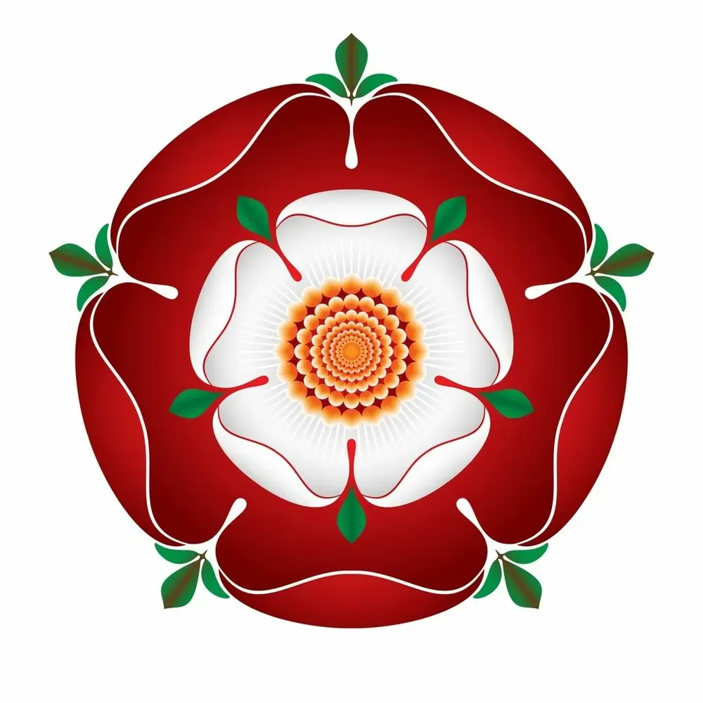 humanitymustwin.bsky.social's profile picture