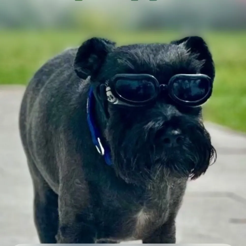 whadevs.bsky.social's profile picture