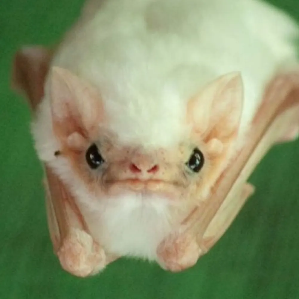 postingtreyf.bsky.social's profile picture