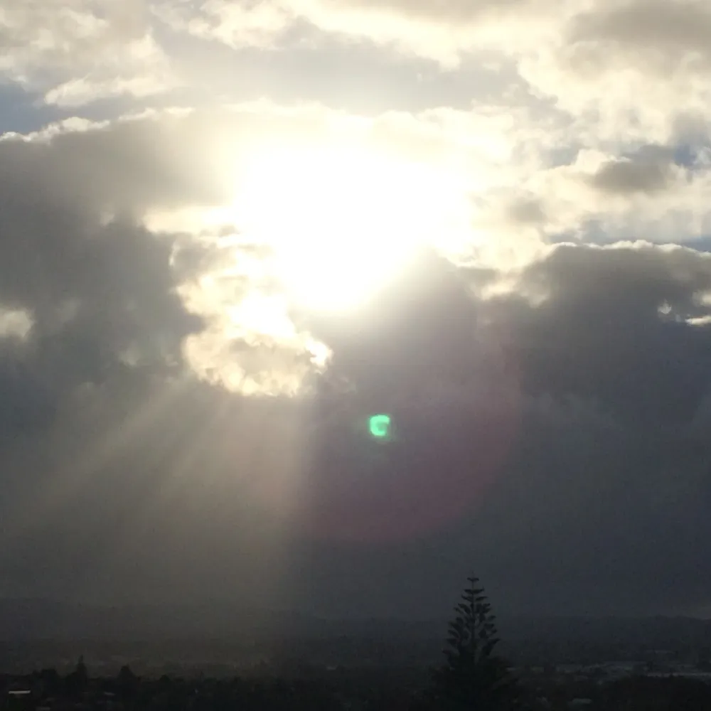 treskewl1.bsky.social's profile picture