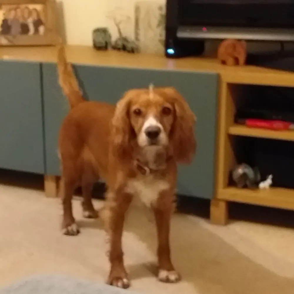 ali-middleton.bsky.social's profile picture