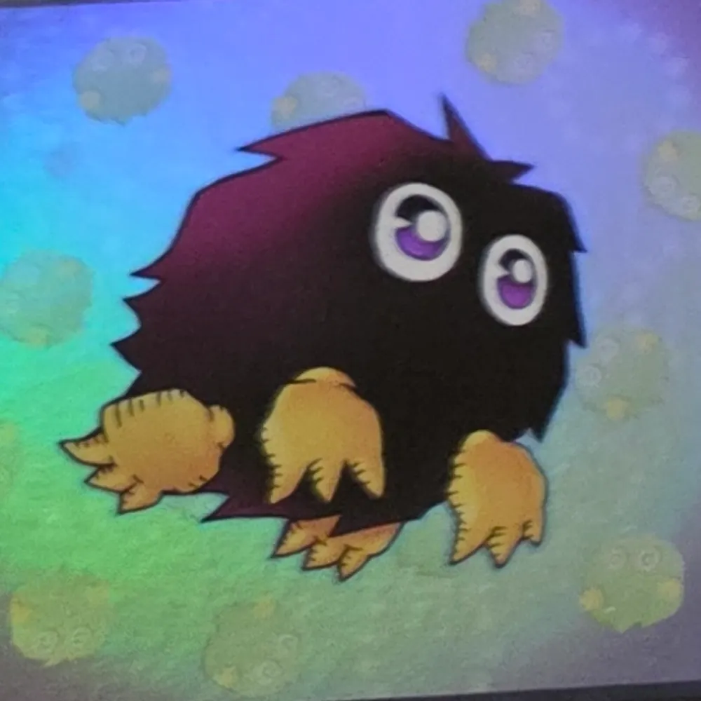 lycnfr.bsky.social's profile picture