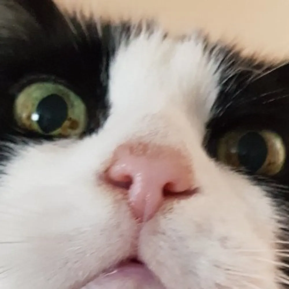 total2total.bsky.social's profile picture