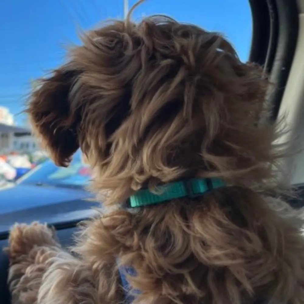 seidler.bsky.social's profile picture