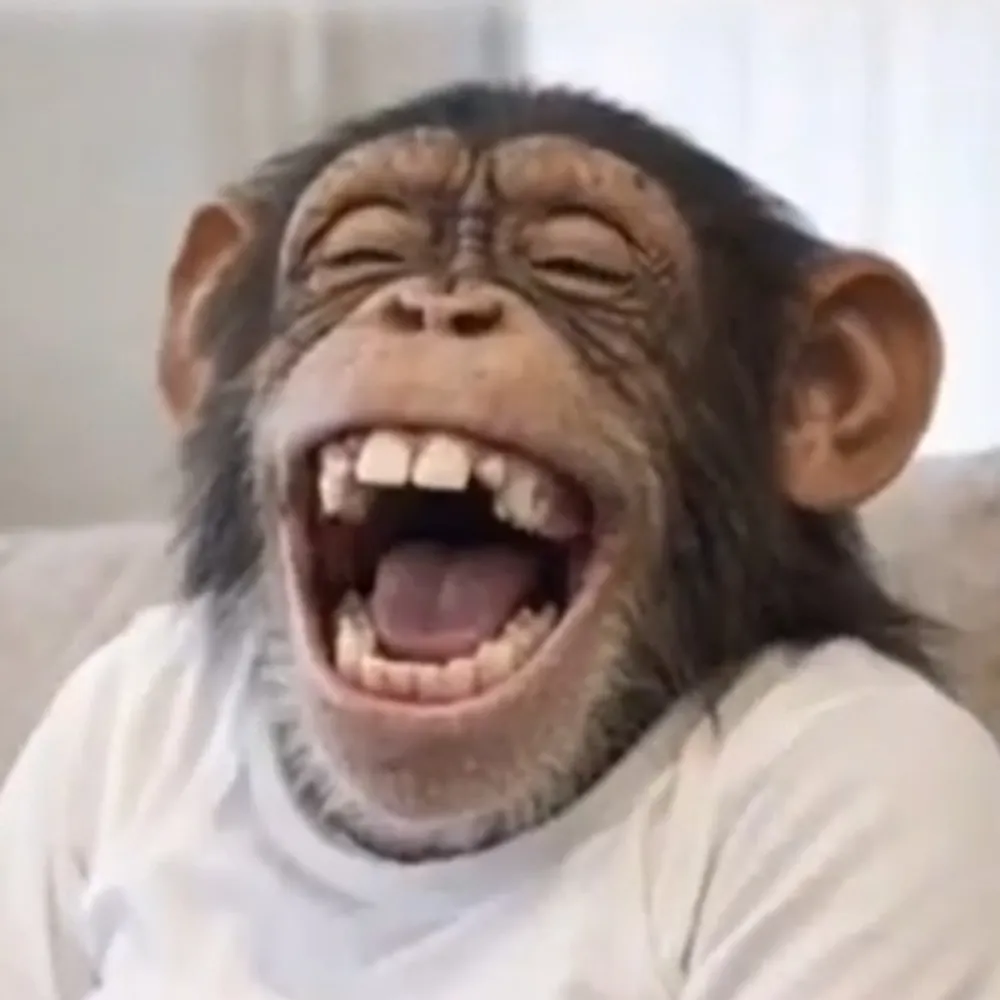 phinp.bsky.social's profile picture