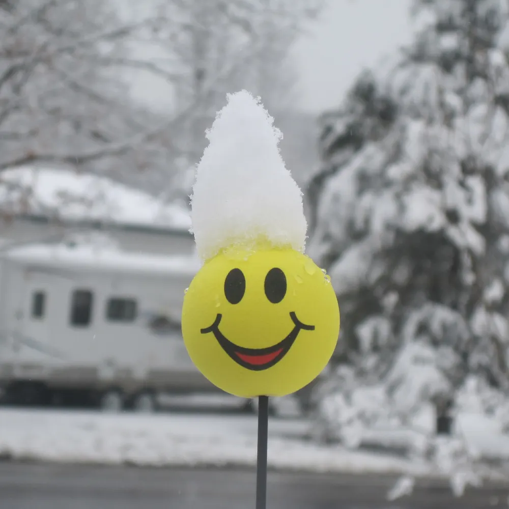 mjc0961.bsky.social's profile picture