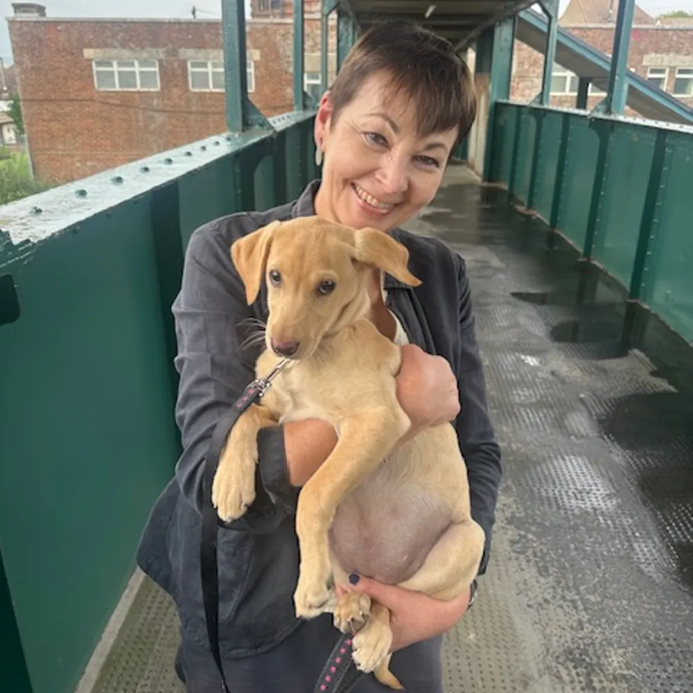 carolinelucas.bsky.social's profile picture