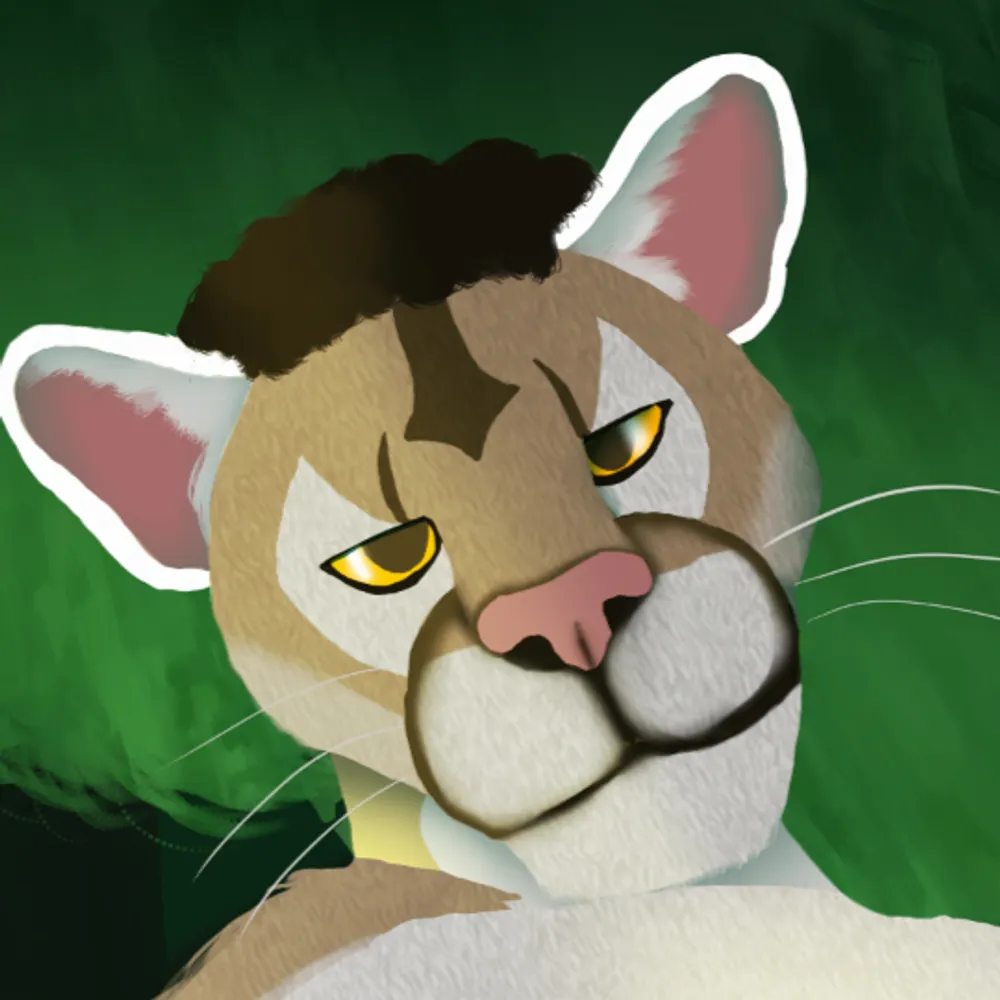 velocatt.bsky.social's profile picture