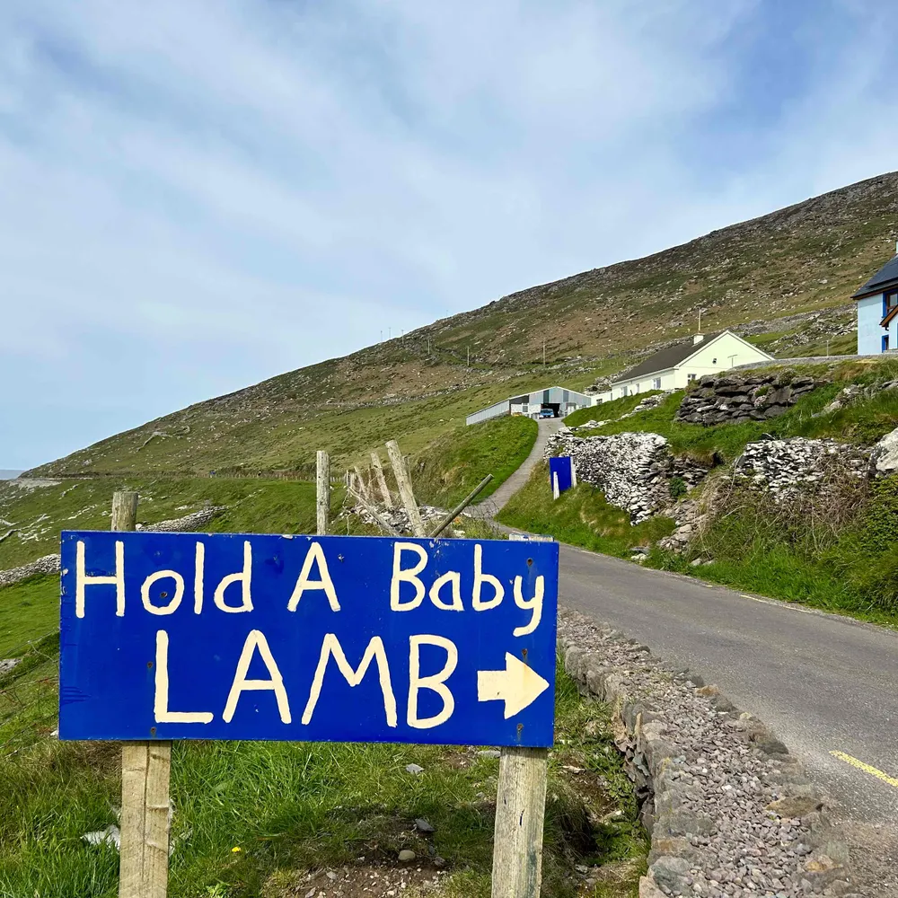 bluebird07843.bsky.social's profile picture