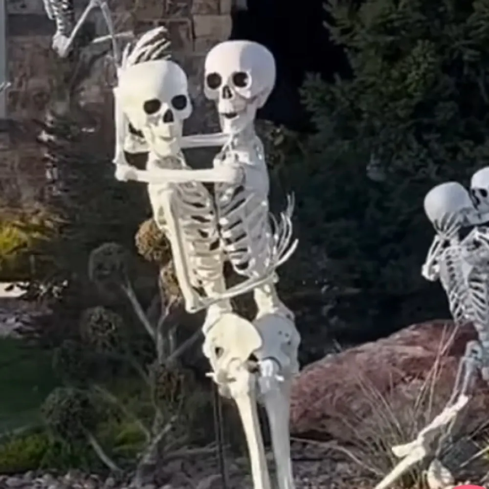 chilangolandia.bsky.social's profile picture