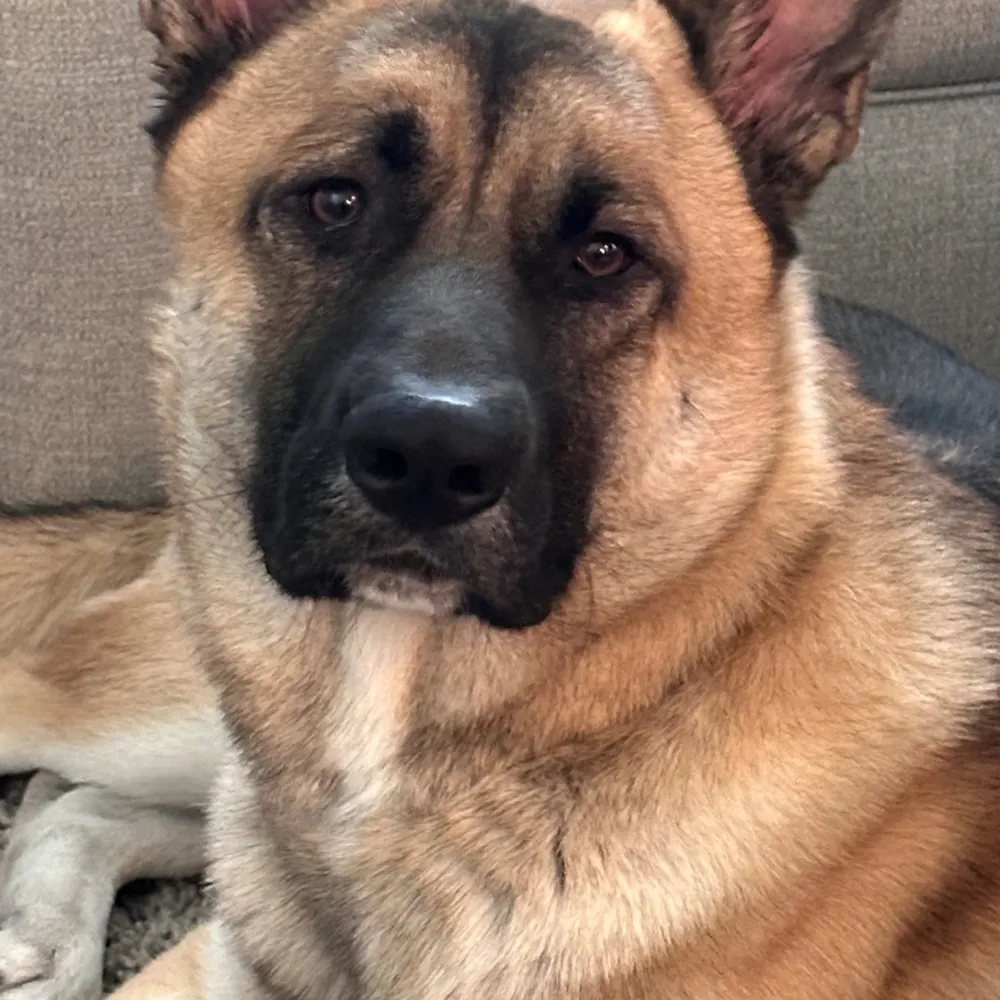 beatbakin.bsky.social's profile picture